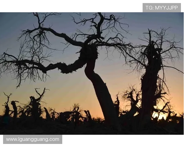 一生为奴：一曲时代的挽歌，一场灵魂的挣扎